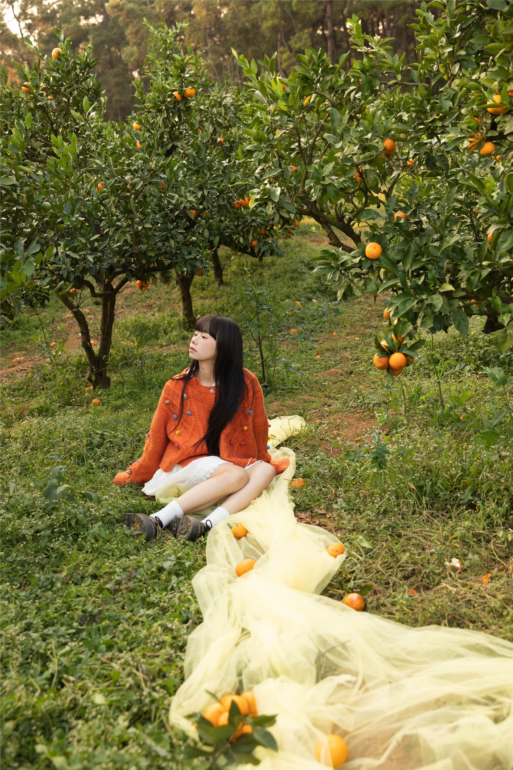 YITUYU艺图语 2025.02.03 橘子辉煌 是三金呀